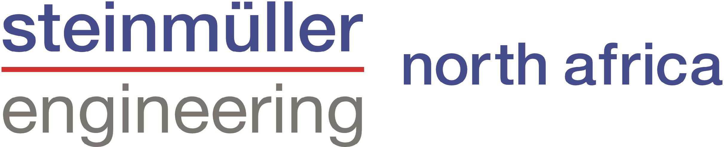 Steinmüller Engineering Logo